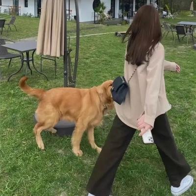 印第安情诗